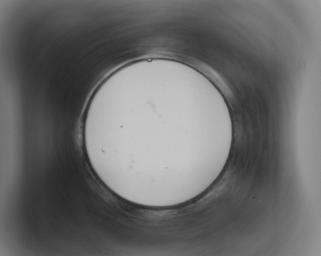 X0000102301292200808221413