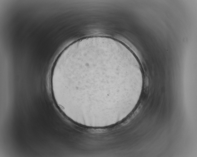 X0000102301293200808221413