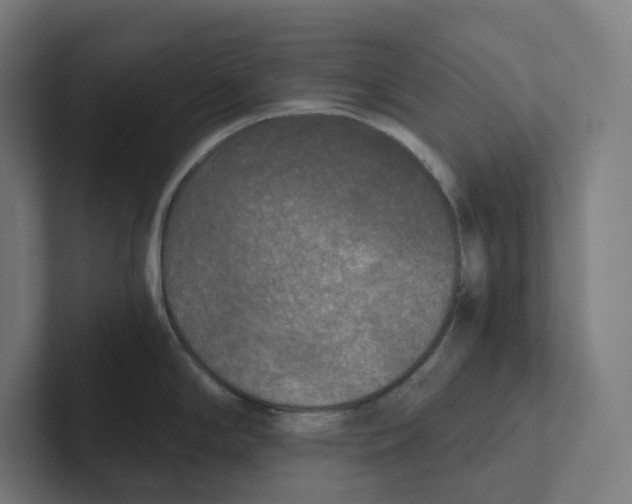 X0000102301294200808221413