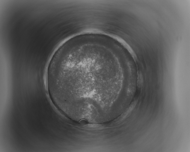 X0000102301295200808221413
