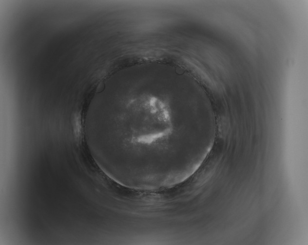 X0000102301298200808221412