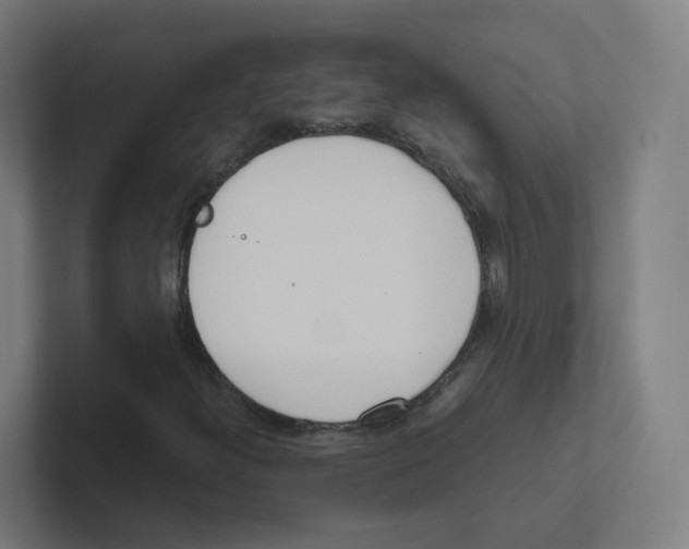 X0000102301300200808221412