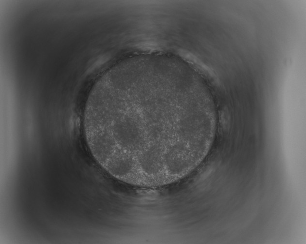 X0000102301302200808221412