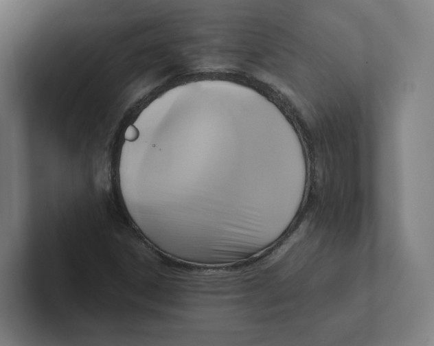 X0000102301306200808221412