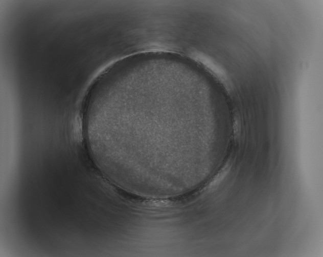 X0000102301310200808221412