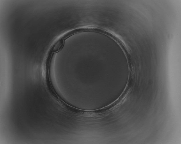 X0000102301319200808221413