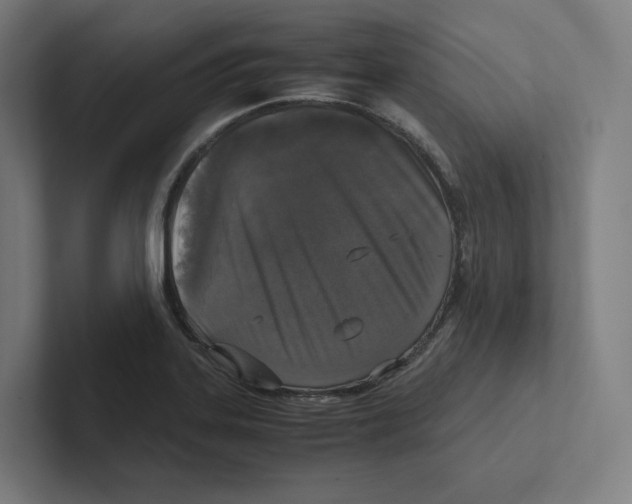 X0000102301323200808221413