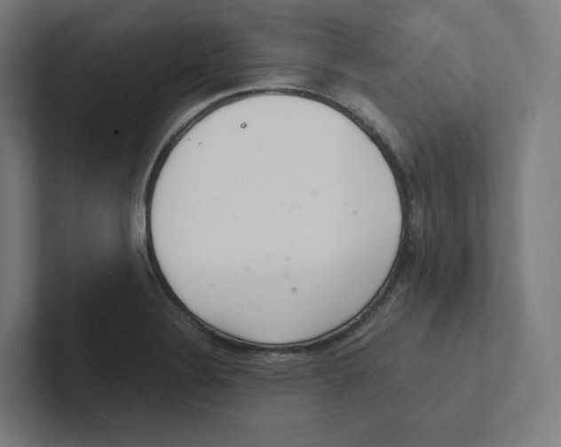 X0000102301324200808221413