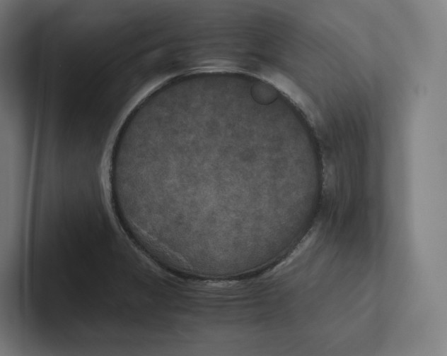 X0000102301325200808221413