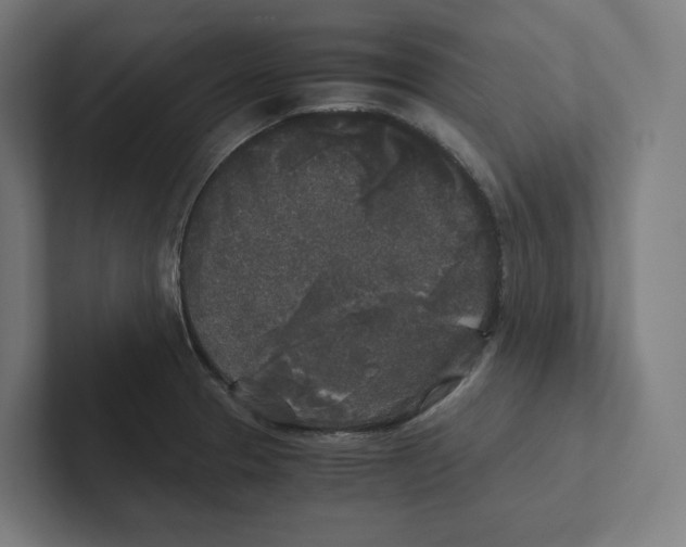 X0000102301329200808221413