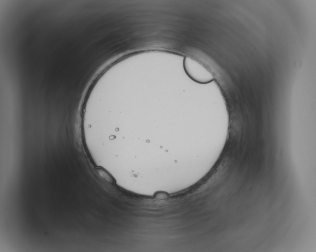 X0000102301332200808221413