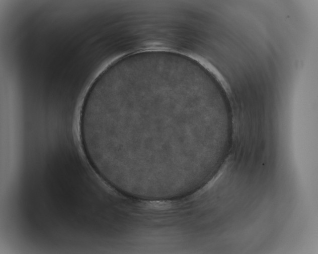 X0000102301333200808221413