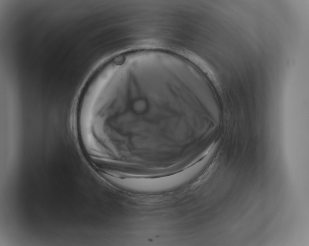 X0000102301334200808221413