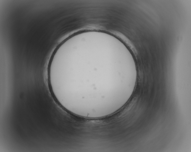 X0000102301335200808221413