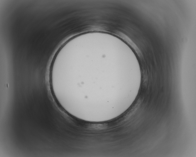 X0000102301339200808221413