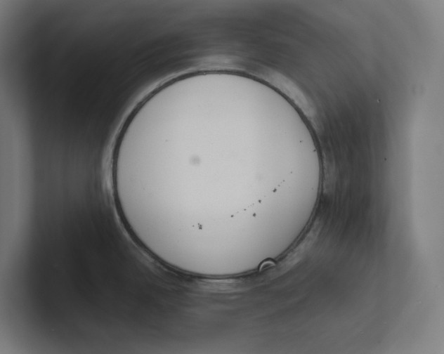 X0000102301342200808221413