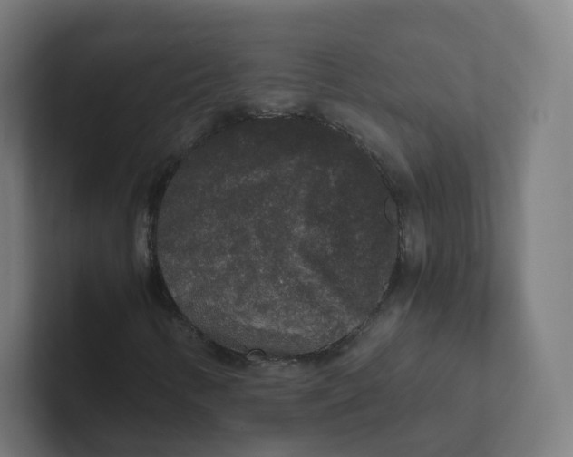 X0000102301346200808221412