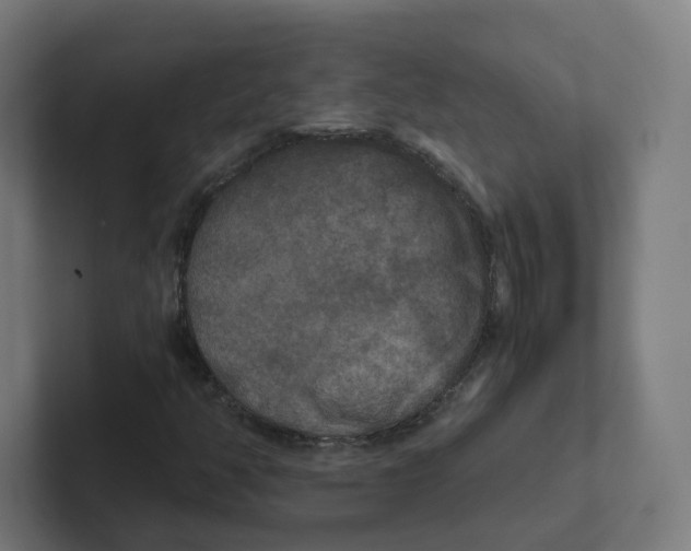 X0000102301350200808221412