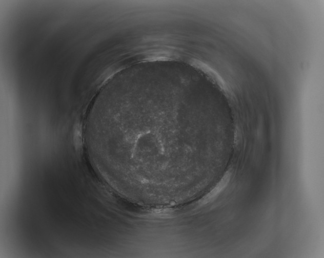 X0000102301353200808221412