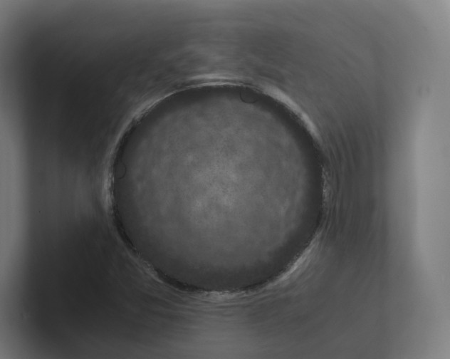 X0000102301357200808221412