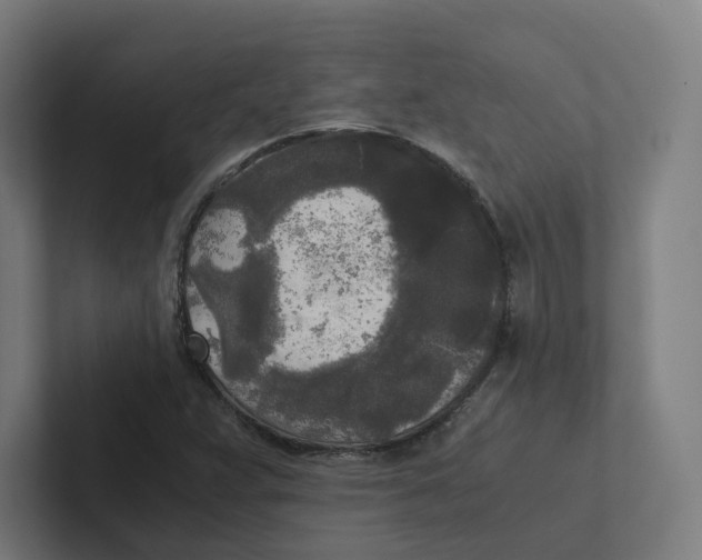 X0000102301359200808221412