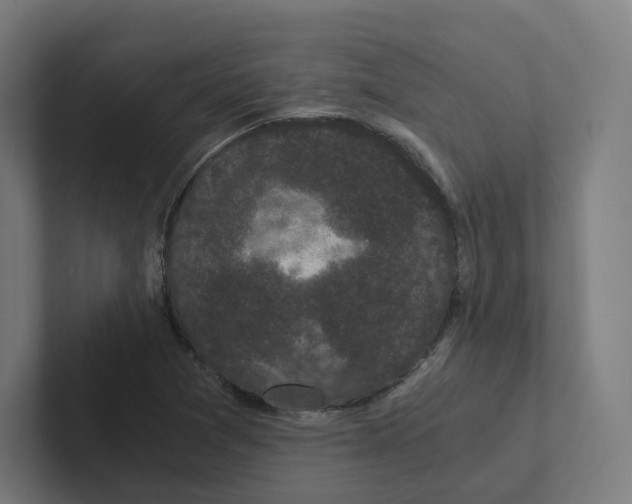 X0000102301361200808221412