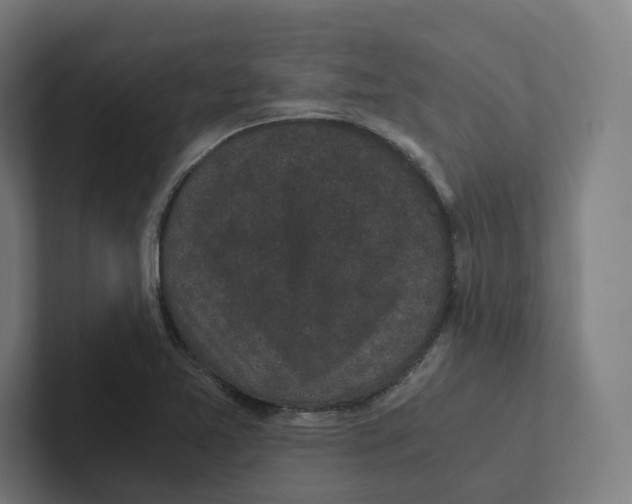 X0000102301365200808221412