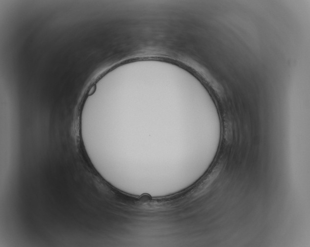 X0000102301366200808221412