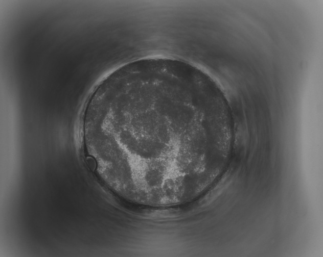 X0000102301367200808221412
