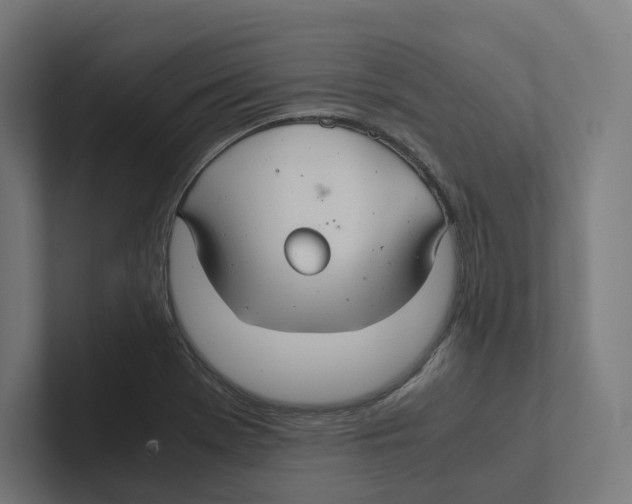 X0000102301369200808221412