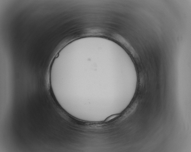 X0000102301370200808221412
