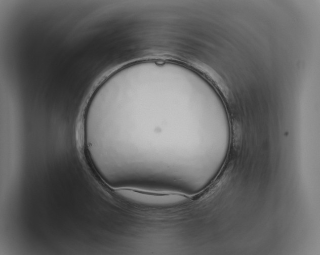 X0000102301371200808221412