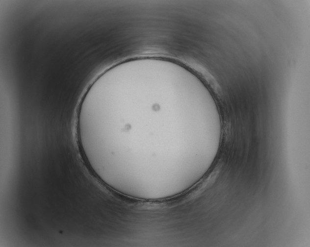 X0000102301374200808221412