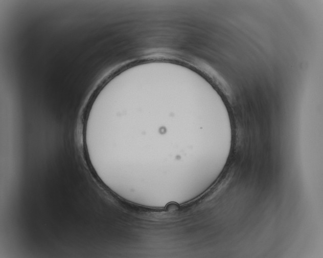 X0000102301376200808221412
