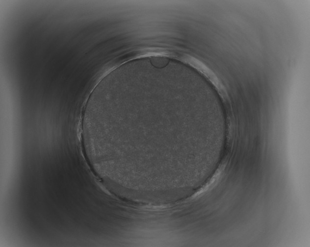 X0000102301377200808221412