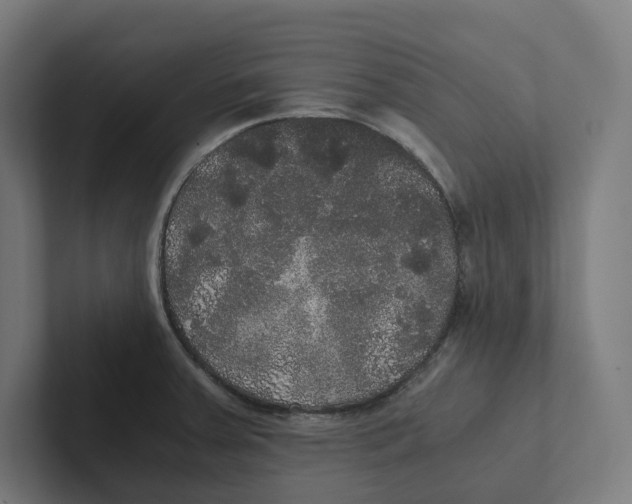 X0000102301379200808221412
