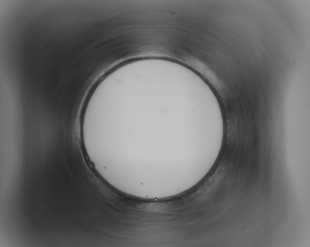 X0000102301380200808221412