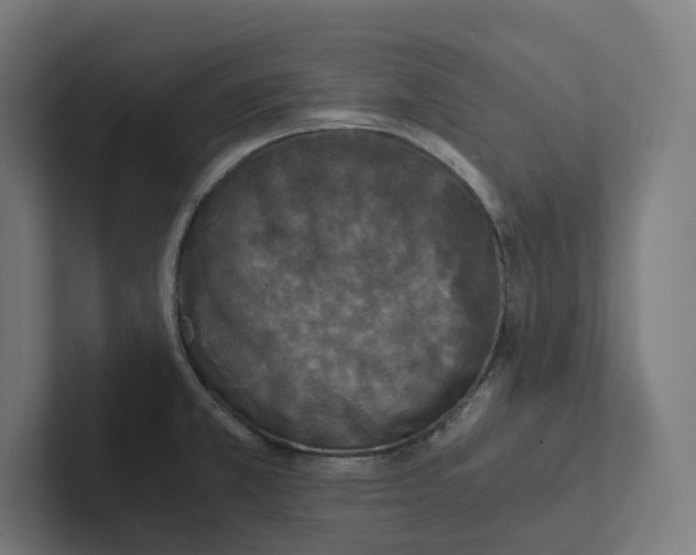 X0000102301381200808221412