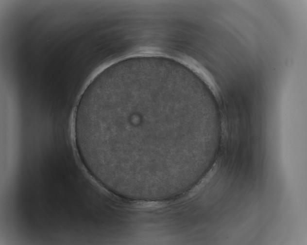X0000102301382200808221412