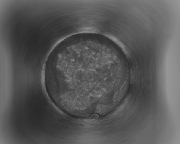 X0000102301383200808221412