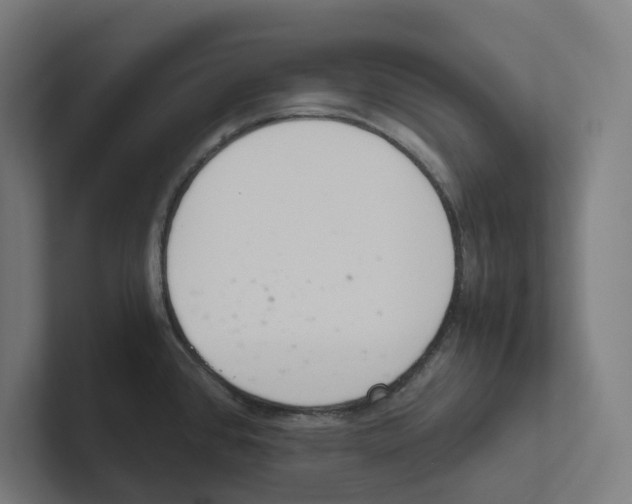 X0000102301384200808221412