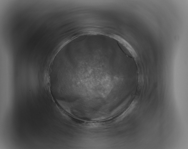 X0000102301385200808221412
