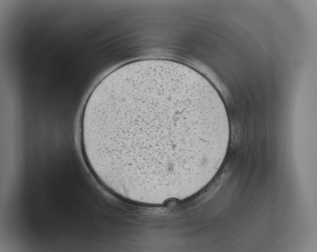 X0000102301387200808221412