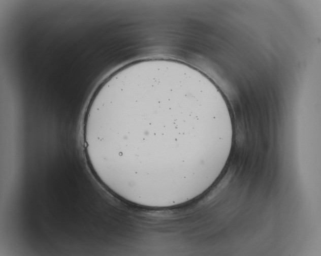 X0000102301388200808221412