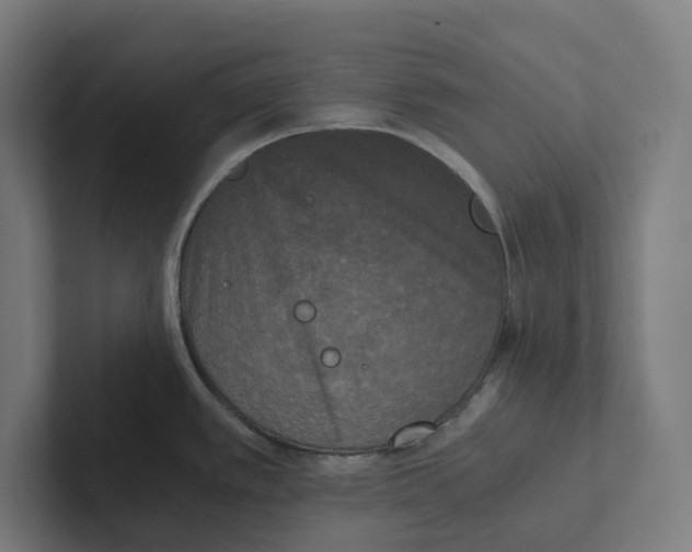 X0000102301389200808221412