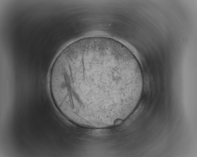 X0000102301390200808221412