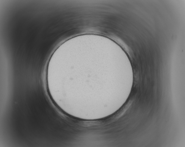 X0000102301391200808221412
