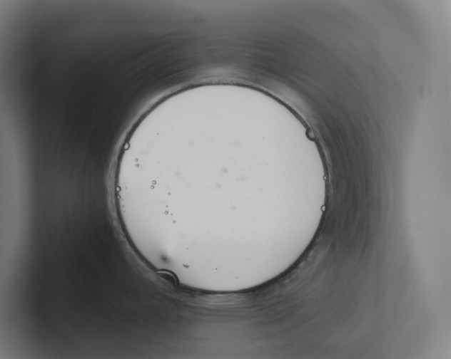 X0000102301392200808221412