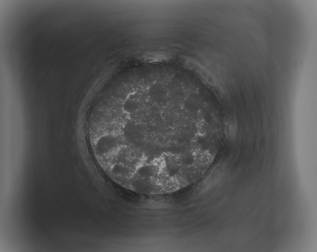 X0000102301393200808221411