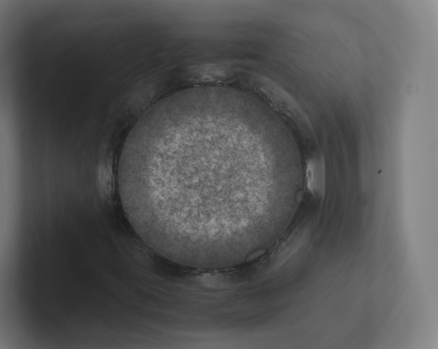 X0000102301395200808221411